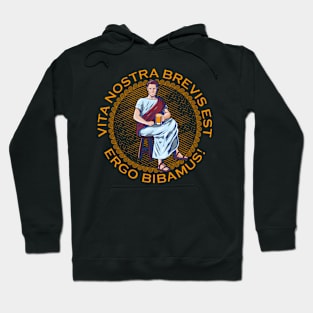 Latin - Vita Nostra Brevis Est - Ergo Bibamus Hoodie